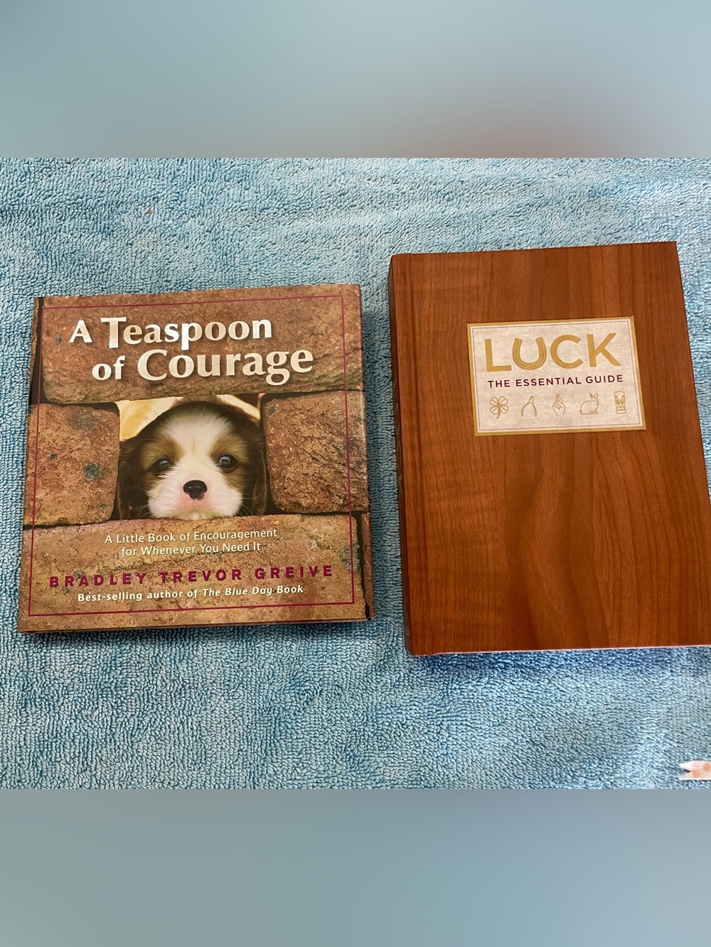 A Teaspoon of Courage & Luck Book Duo - Brown Cover, Tan Accents